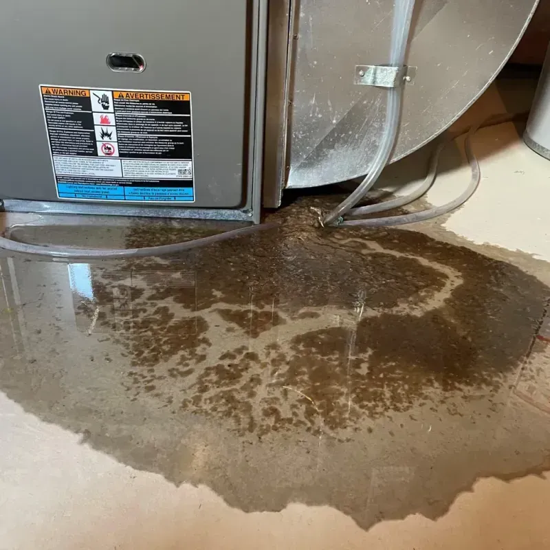 Appliance Leak Cleanup in Crystal Falls, MI